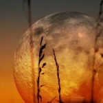 Lua Cheia – Série Fases da Lua