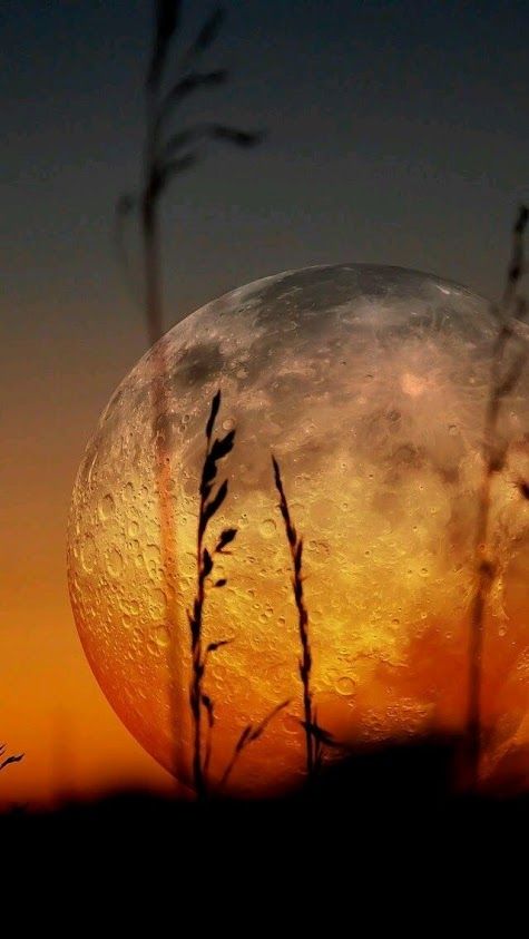 Lua Cheia – Série Fases da Lua
