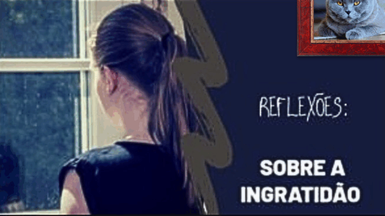 Reflexão: Sobre a ingratidão