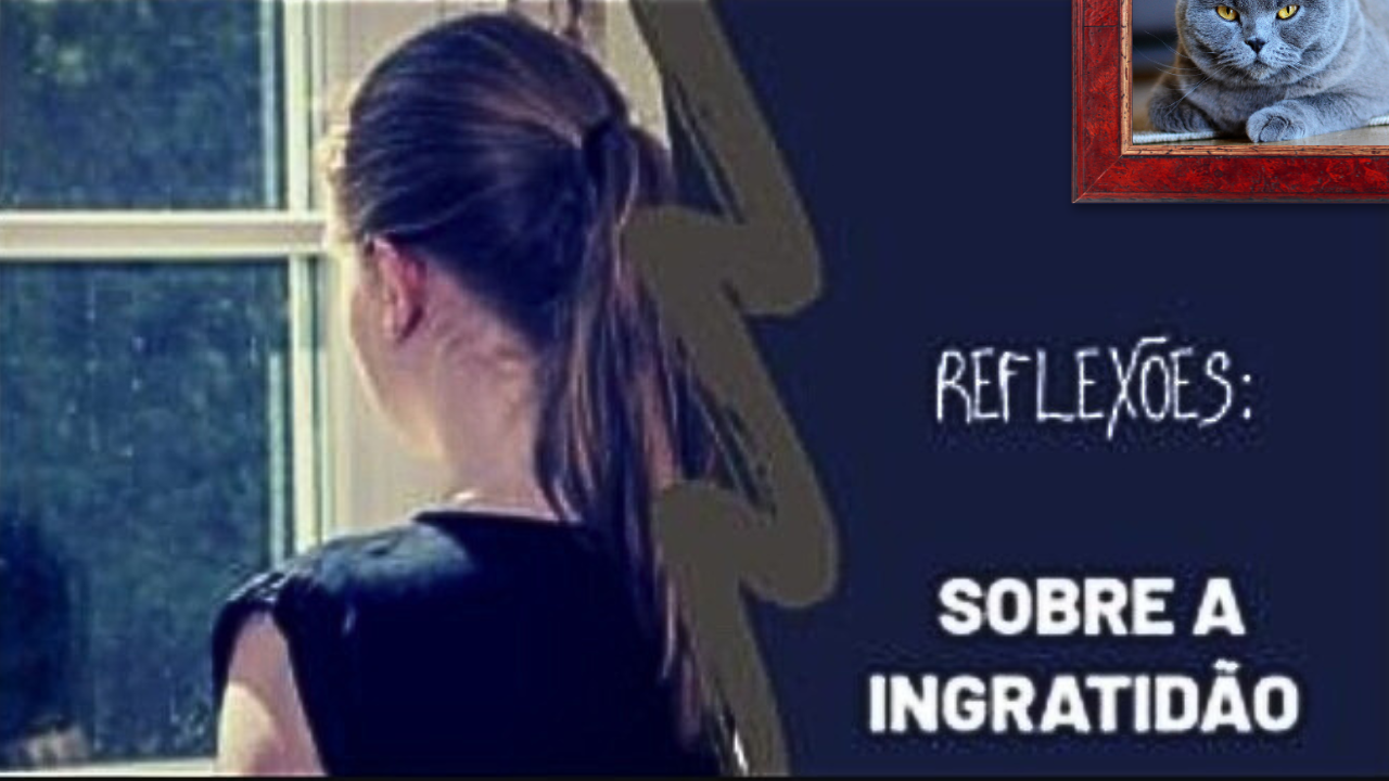 Reflexão: Sobre a ingratidão