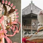 Existe um santuário de gatos no Japão com gatinhos monges