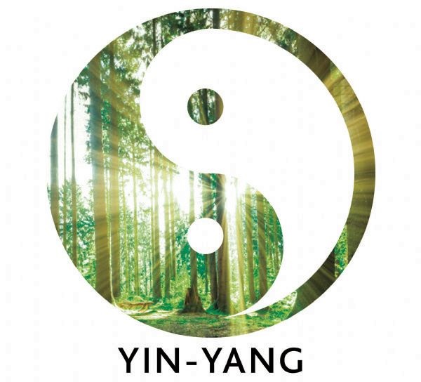 Yin Yang – O Equilíbrio da Dualidade