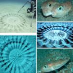 Obra de arte, no fundo do mar