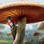 Super Guia de Caça e Identificação de Cogumelos Mágicos