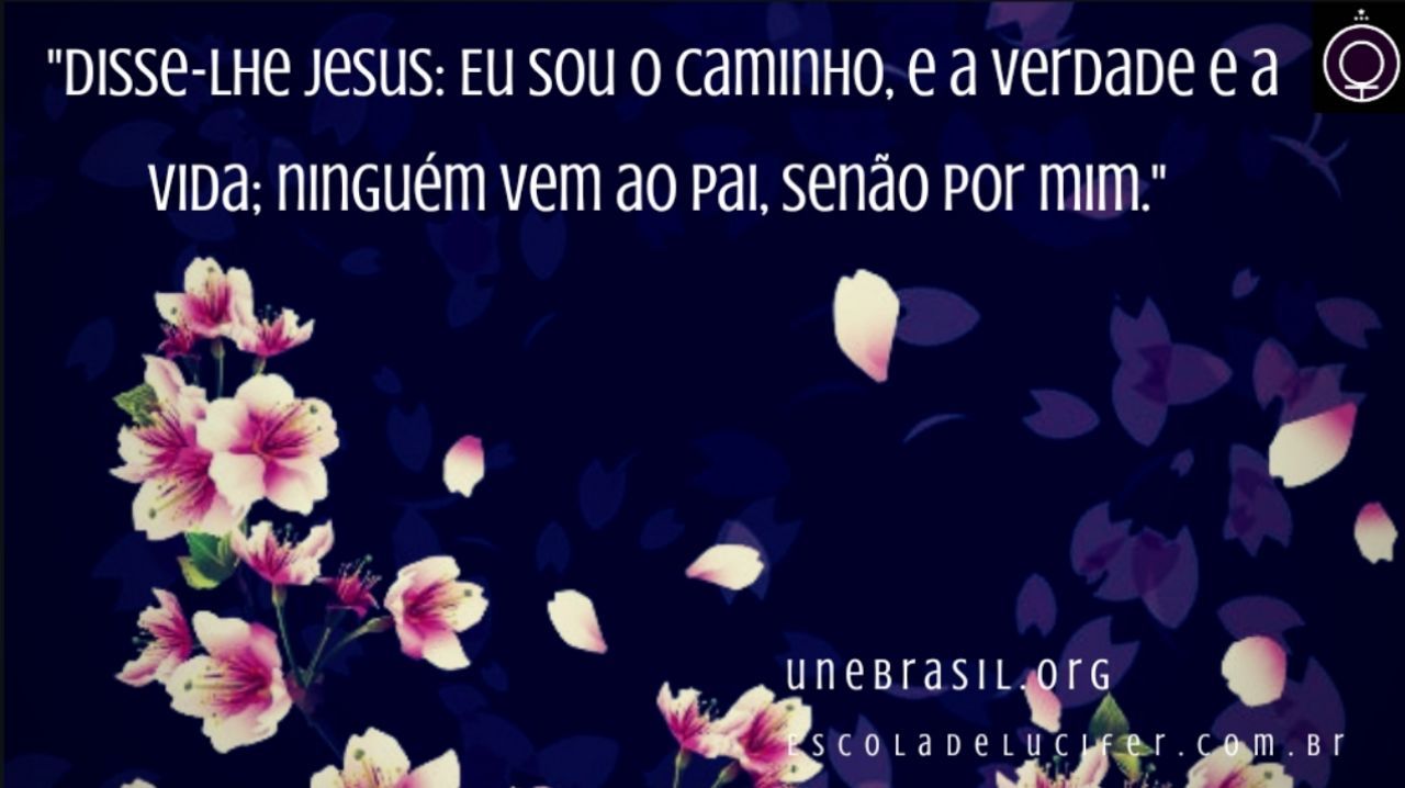 “Disse-lhe Jesus: Eu sou o caminho, a verdade e a vida; ninguém vem ao Pai, senão por mim.”