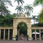 Zoológico do Rio de Janeiro se transforma em BioParque sem jaulas