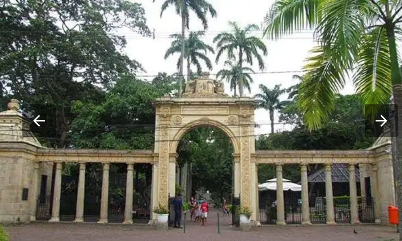 Zoológico do Rio de Janeiro se transforma em BioParque sem jaulas
