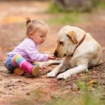 Os benefícios da convivência entre crianças e animais