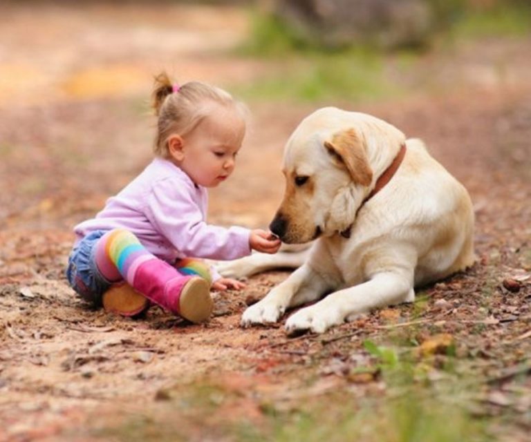 Os benefícios da convivência entre crianças e animais