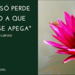 Buda – Apego -Reflexão