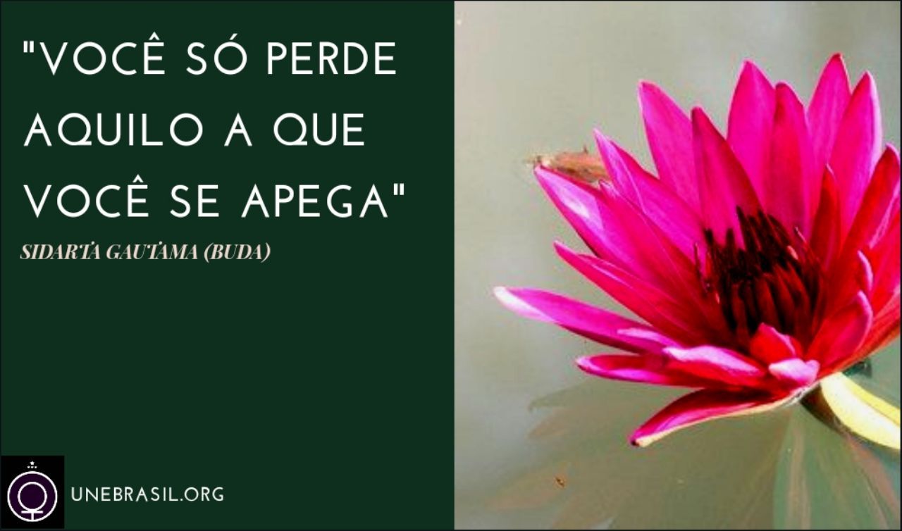 Buda – Apego -Reflexão