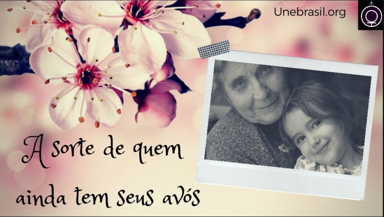 A sorte de quem ainda tem seus avós