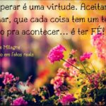 À Espera De Um Milagre: Um Filme Para Sua Alma