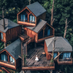 Incríveis casas na Árvore
