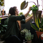 Urban Jungle ganha popularidade no mundo todo