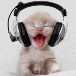 Os gatos gostam de ouvir música?