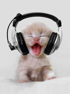 Os gatos gostam de ouvir música? – Unebrasil