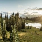 Você conhece as fontes alternativas de energia?