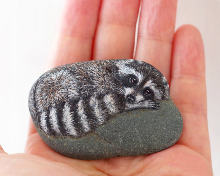 Artista Japonês transforma pedras comuns em animais