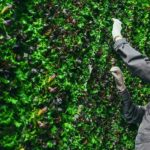 Fazenda vertical: o que é, vantagens e desvantagens