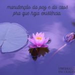 Tudo o que há, tem sua razão de ser🕊