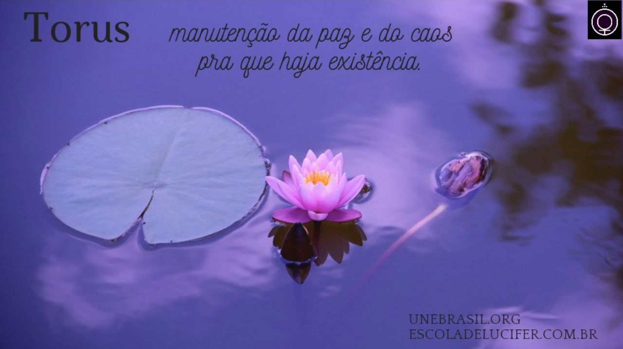 Tudo o que há, tem sua razão de ser🕊