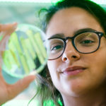 Jovem desenvolveu um plástico a partir da casca da macadâmia ganhou um asteroide com o seu nome