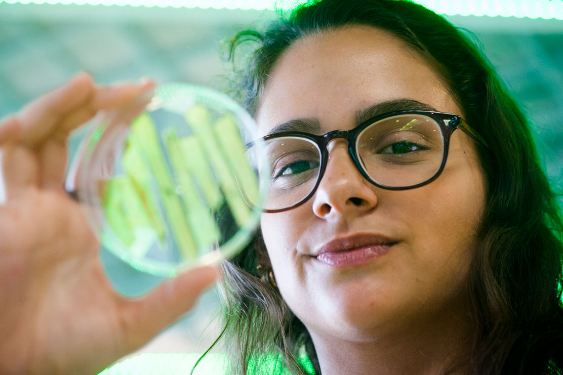 Jovem desenvolveu um plástico a partir da casca da macadâmia ganhou um asteroide com o seu nome