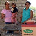 Geladeira de argila ecológica atinge -8º Celsius e se tornou a melhor invenção da década