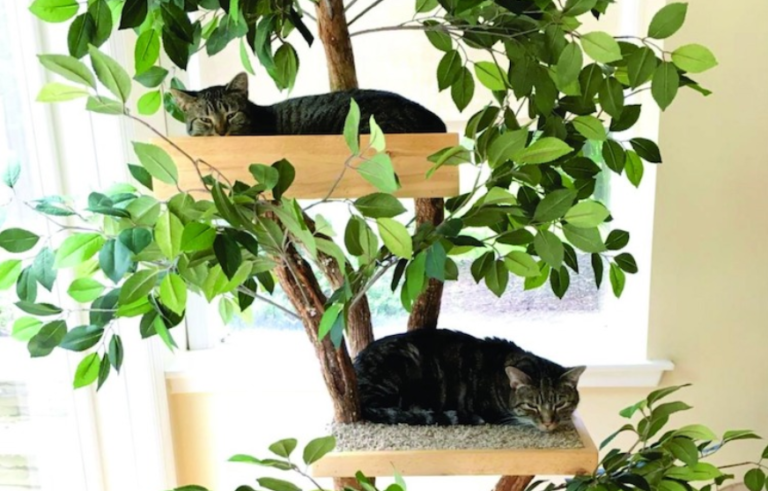 Torres de gato com Árvores reais