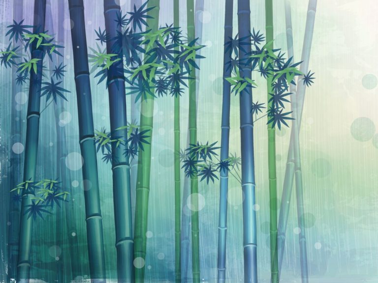 O bambu nos ensina 7 segredos