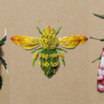 Artista molda insetos com pétalas de diferenciadas flores. Uma arte peculiar e linda!