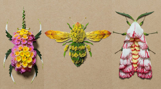 Artista molda insetos com pétalas de diferenciadas flores. Uma arte peculiar e linda!