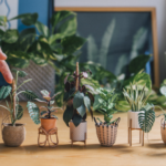 Artista cria plantas minimalistas feitas a partir de papel que vão te encantar