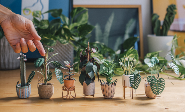 Artista cria plantas minimalistas feitas a partir de papel que vão te encantar