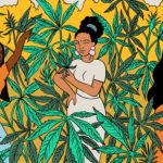 Cannabis: 10 usos nos mais diferentes setores