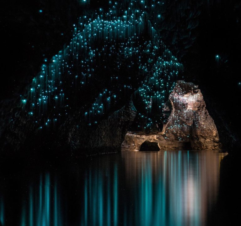 Glowworms Caves, a caverna do céu estrelado