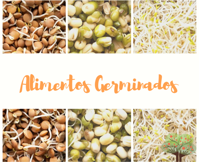 Benefícios de grãos germinados e como fazer em casa