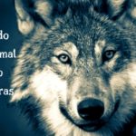 10 pais do Reino animal que são verdadeiras mães