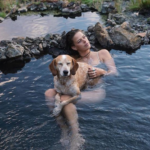 Conheça a Maddy, uma cadela que adora viajar