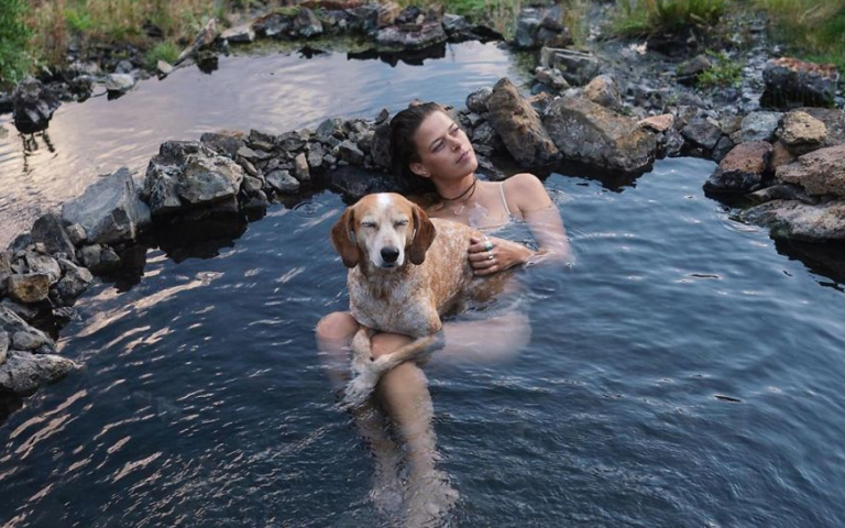 Conheça a Maddy, uma cadela que adora viajar