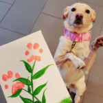Obras de arte maravilhosas feitas por cãezinhos adoráveis <3