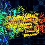 Cientistas converteram uma estrutura do novo coronavírus em música