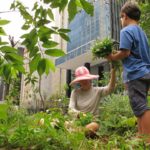 Cidade Suiça onde cada habitante tem a sua horta