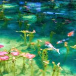 Lago de Monet, a onde a arte ganha vida