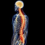 Medicina da Quiropraxia