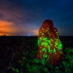 Conheça os cupinzeiros iluminados do cerrado do Mato Grosso do Sul que parecem castelos de fadas