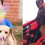 Desde os 9 anos adolescente resgata animais de rua e hoje tem o próprio abrigo