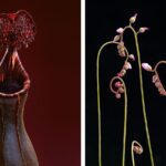 Essas fotografias espetaculares capturam a beleza incomum das plantas carnívoras
