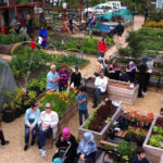 Comida de graça: cidade britânica dá comida orgânica para seus moradores